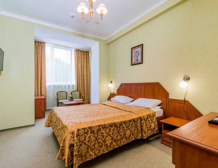 Комфорт 2-местный DOUBLE - Санаторий «Горный» Горячий Ключ