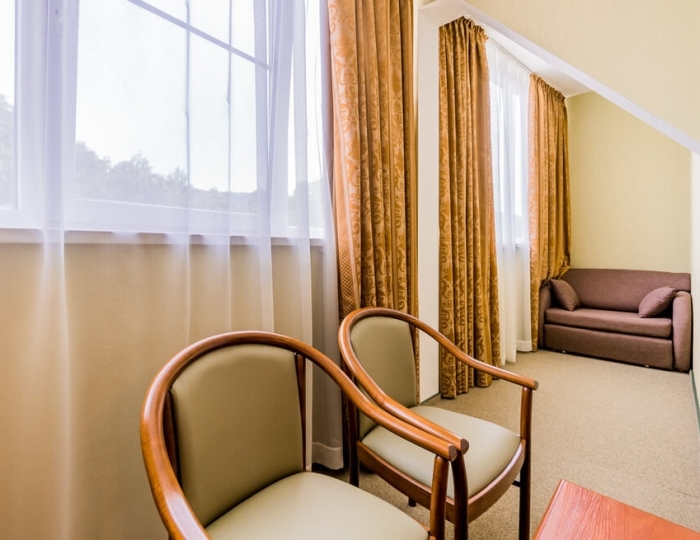 Комфорт 2-местный DOUBLE - Санаторий «Горный» Горячий Ключ